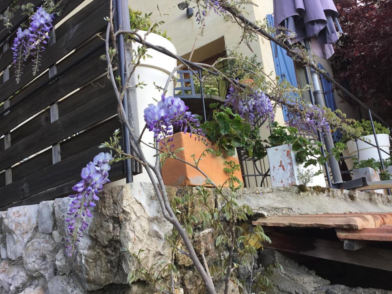 Skylark Bed & Breakfast Grasse Luaran gambar